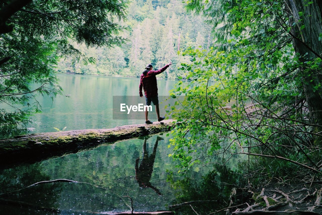 Man walking by river in forest
