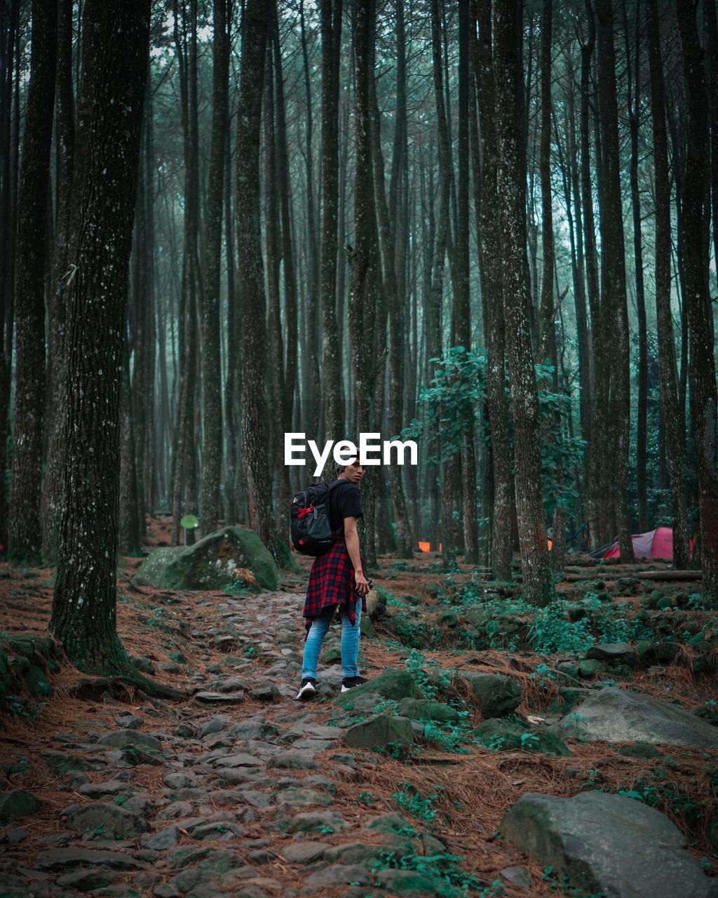 Rear view of man standing on tree trunk in forest
