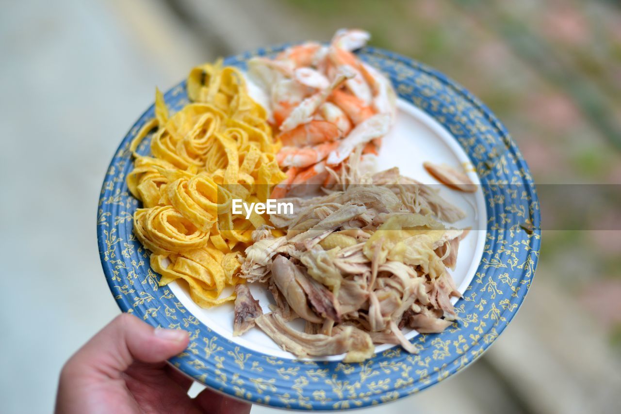 Close-up of hand holding laksa ingredients in plate