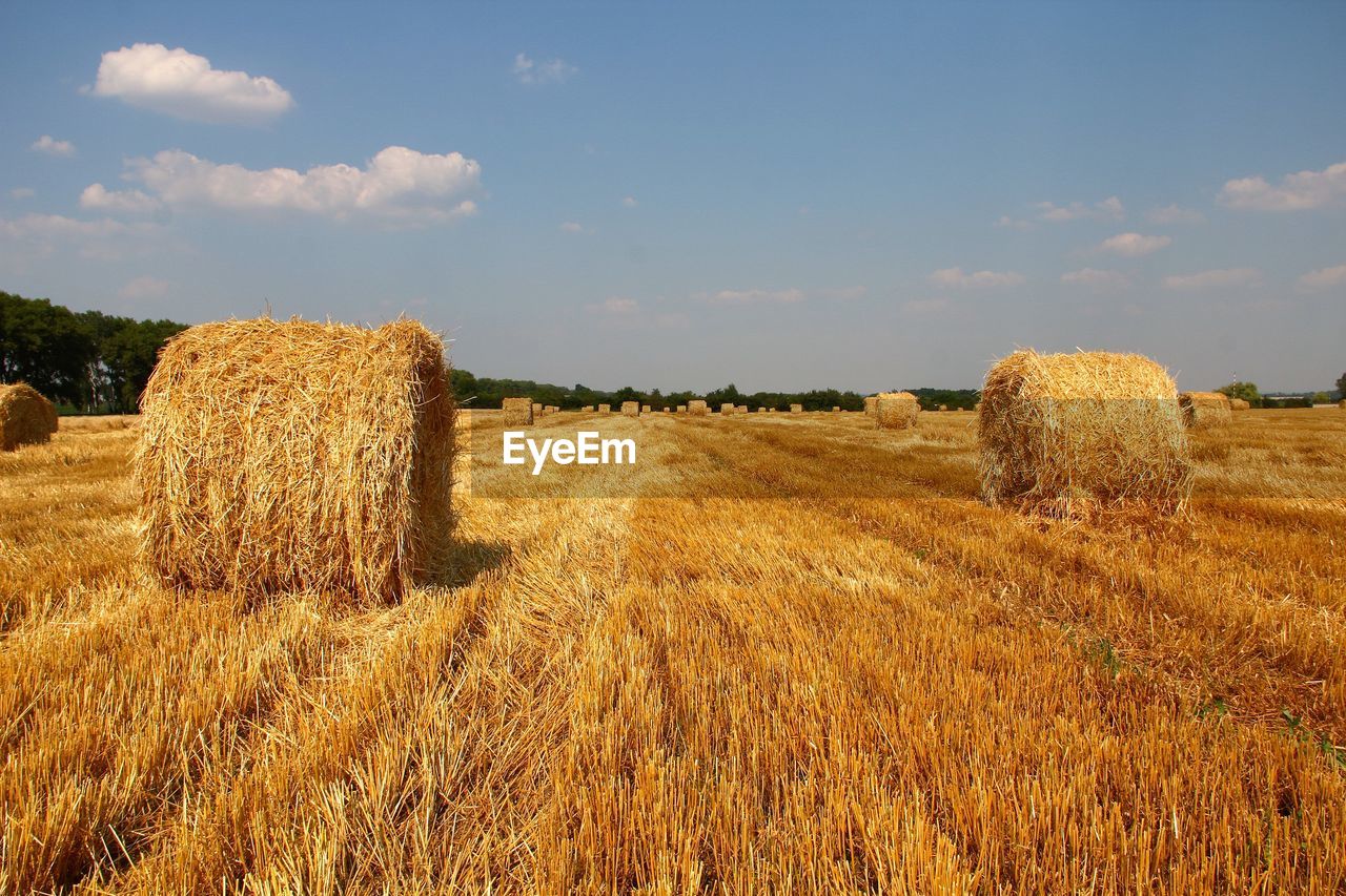 Hay bale on field against sky