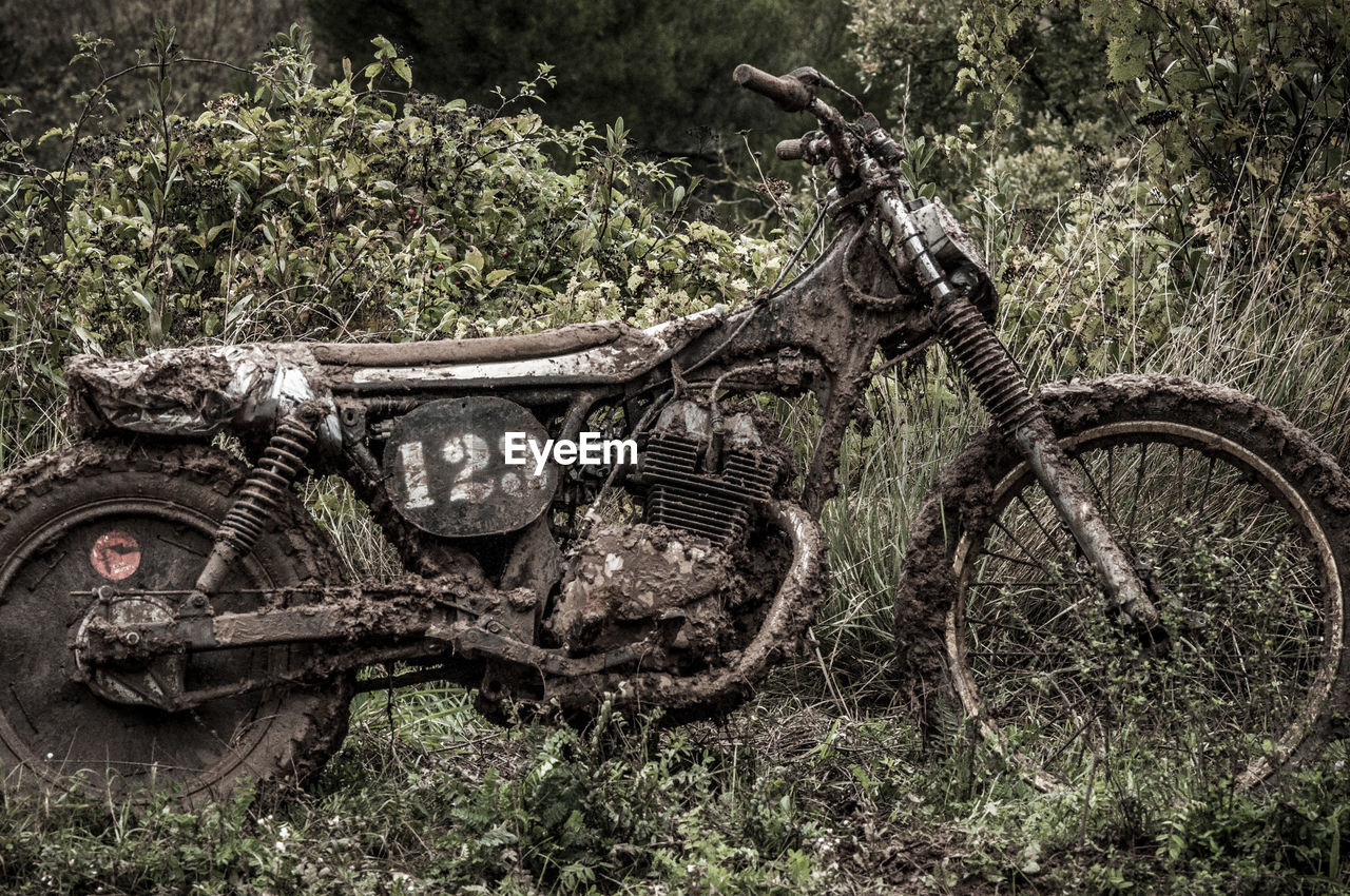 Old abandoned motorcycle on plants in forest