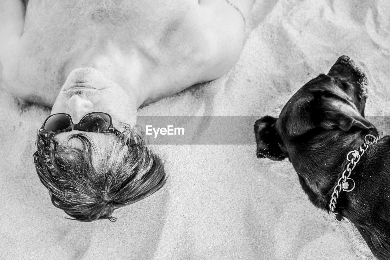 Directly above shot of shirtless man lying down by dog at beach