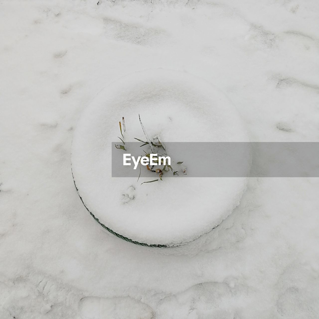 HIGH ANGLE VIEW OF SNOW COVERED PLANT ON FIELD