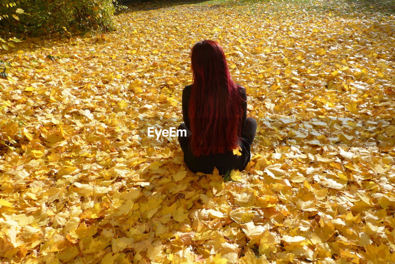 REAR VIEW OF WOMAN SITTING ON LEAVES DURING AUTUMN