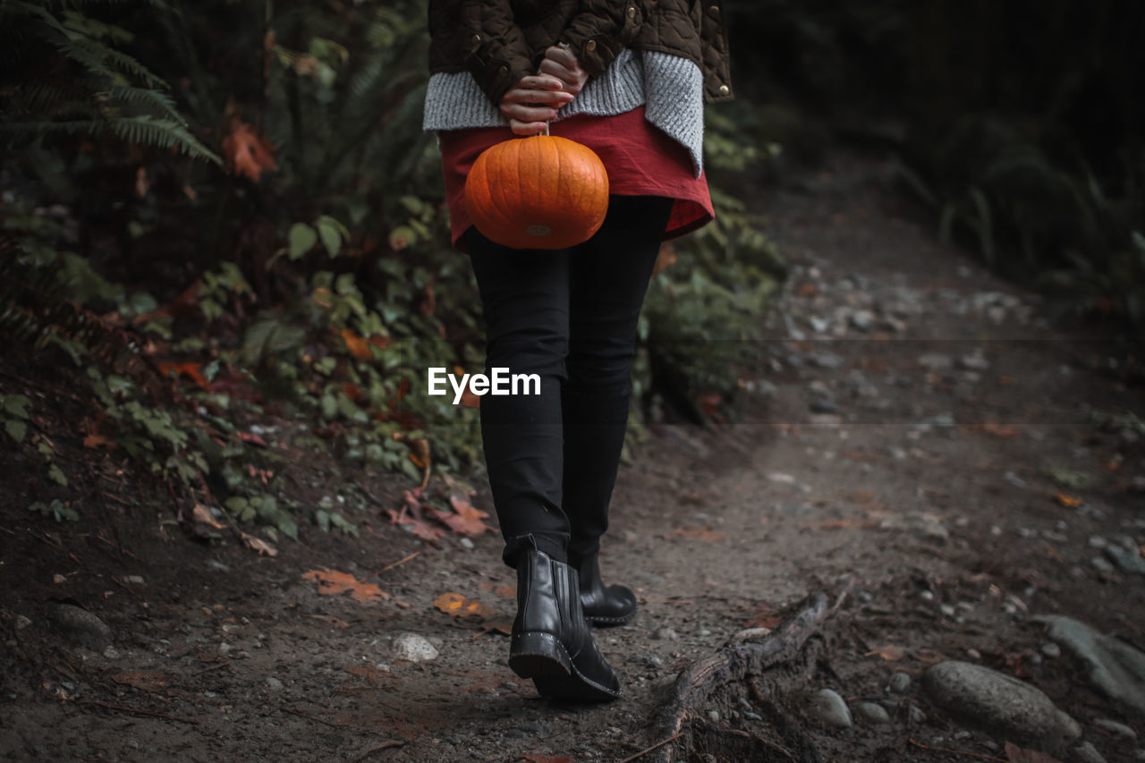 Low section of woman holding pumpkin walking in forest 