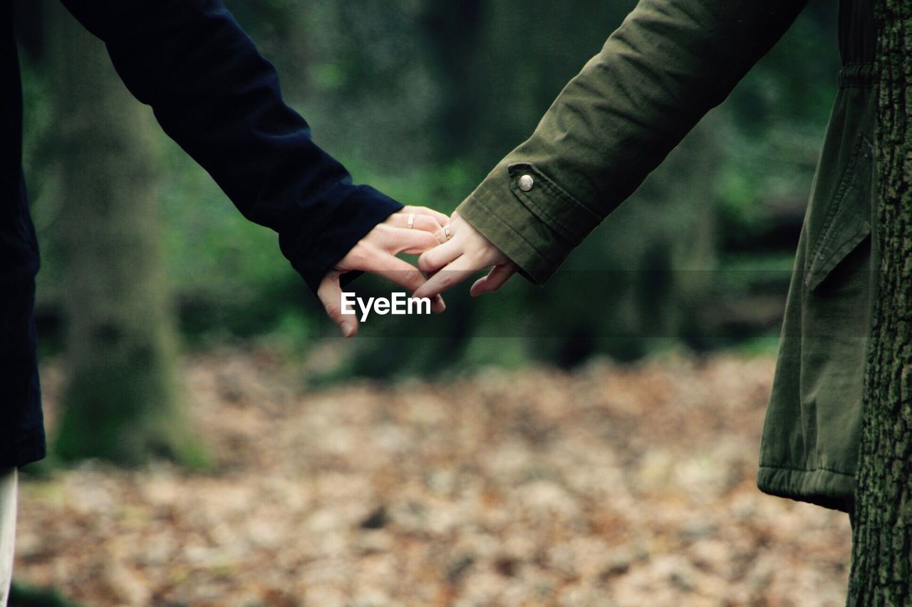 Close-up of couple holding hands at forest during winter