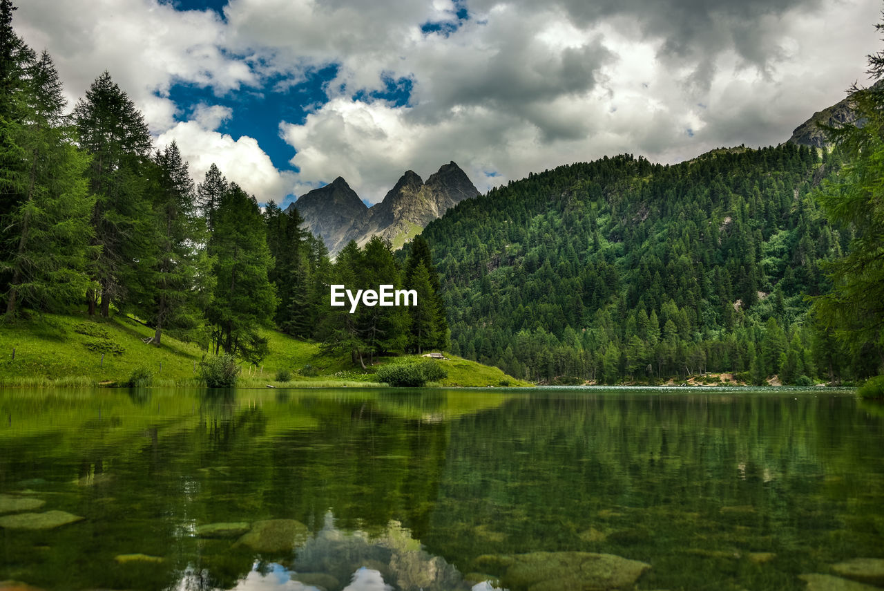 Scenic view of lake by trees against sky
