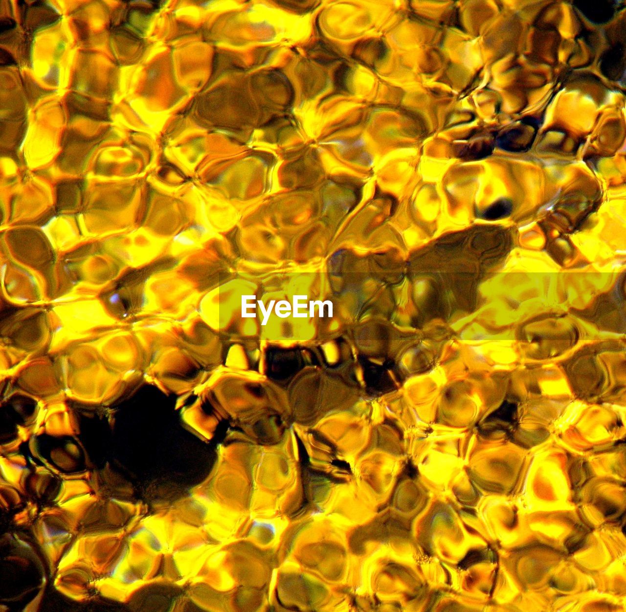 Close-up of yellow bubbles