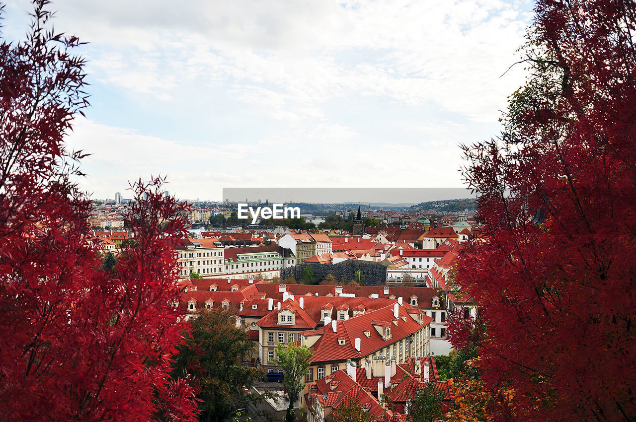 Autumn trees by cityscape against cloudy sky