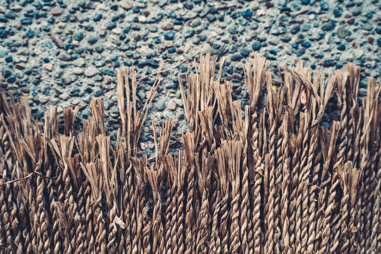 no people, day, nature, grass, plant, land, field, full frame, growth, backgrounds, high angle view, outdoors, pattern, beauty in nature, frost, tranquility, close-up, agriculture, sunlight, abundance, dry, landscape