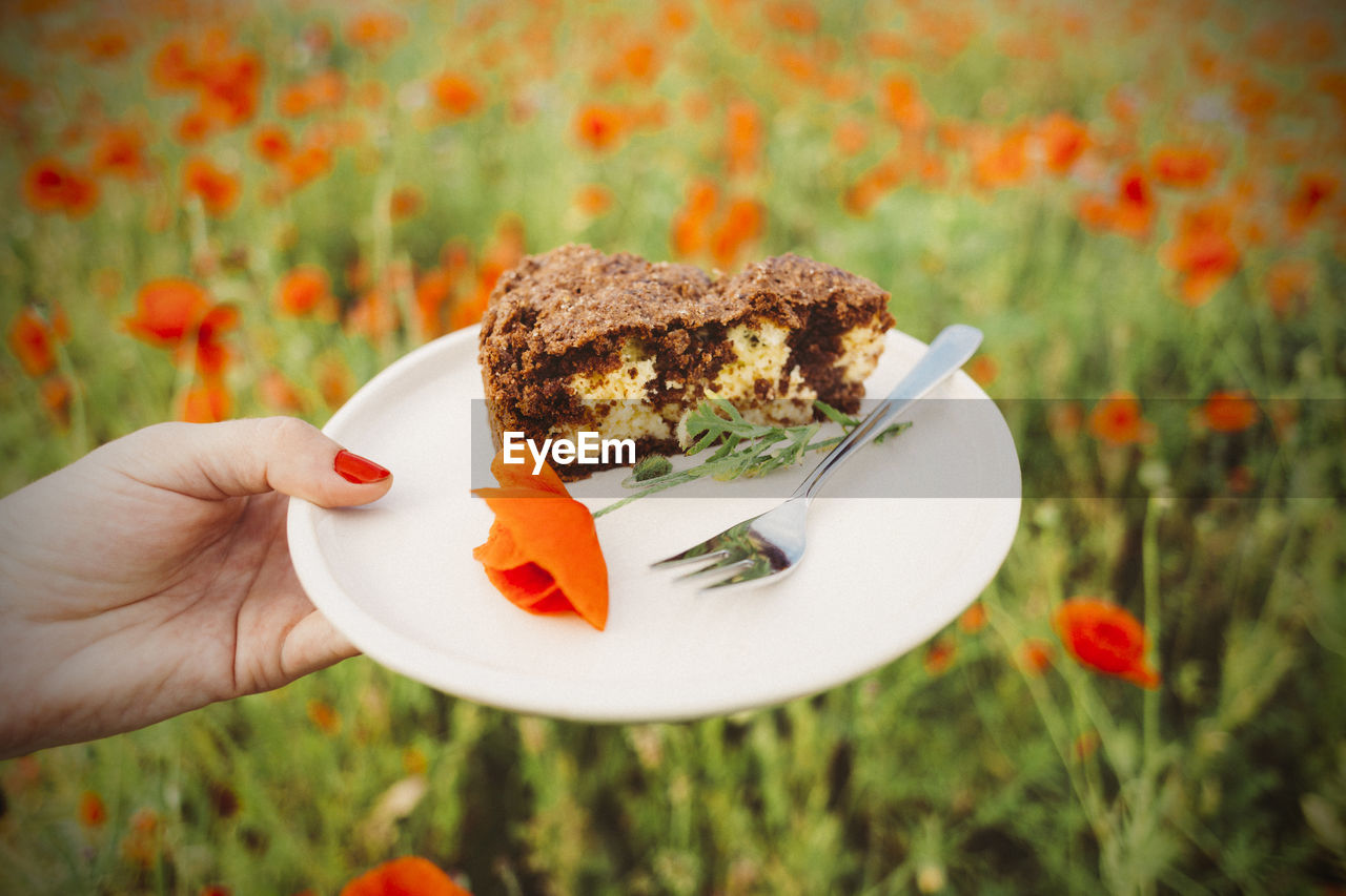 Close-up of hand holding piece of cake on plate over poppy field