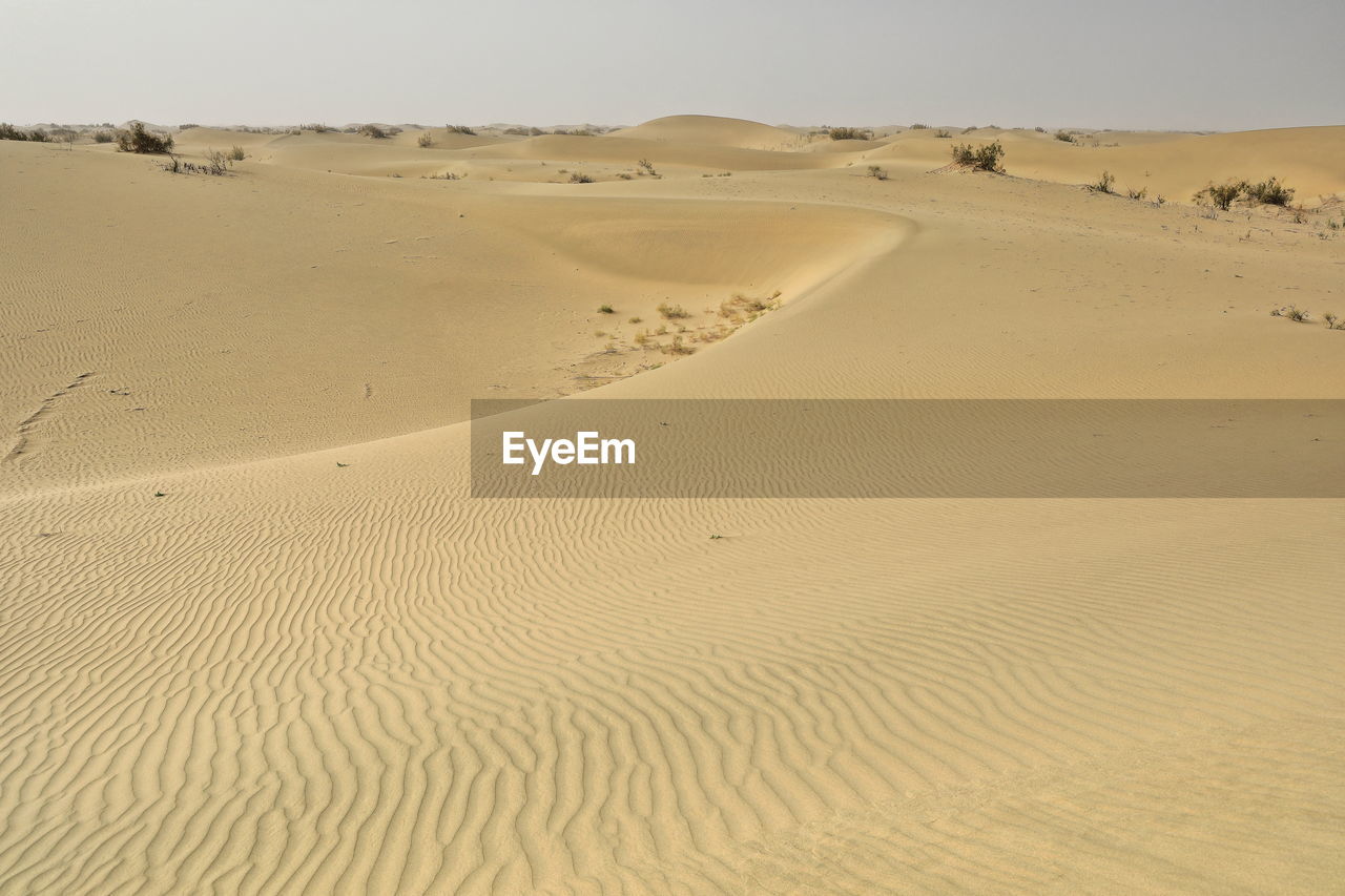 Scenic view of sand dunes in desert against sky