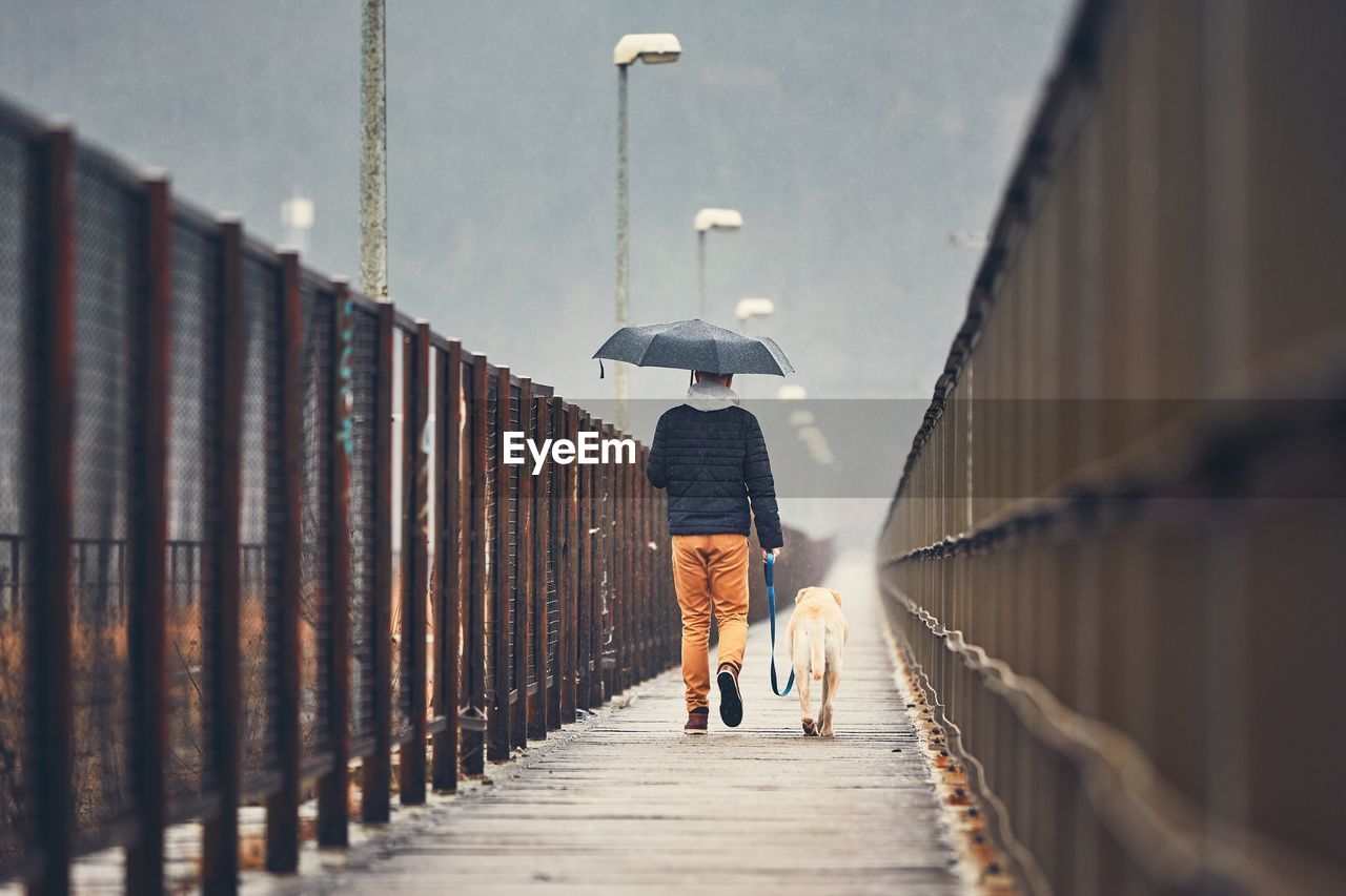Rear view of man walking with dog on footbridge during rainy season