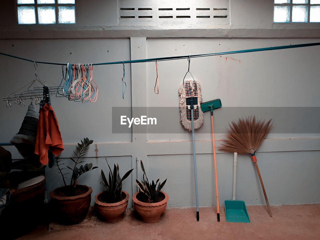 Potted plants hanging on wall at home and clothes rack