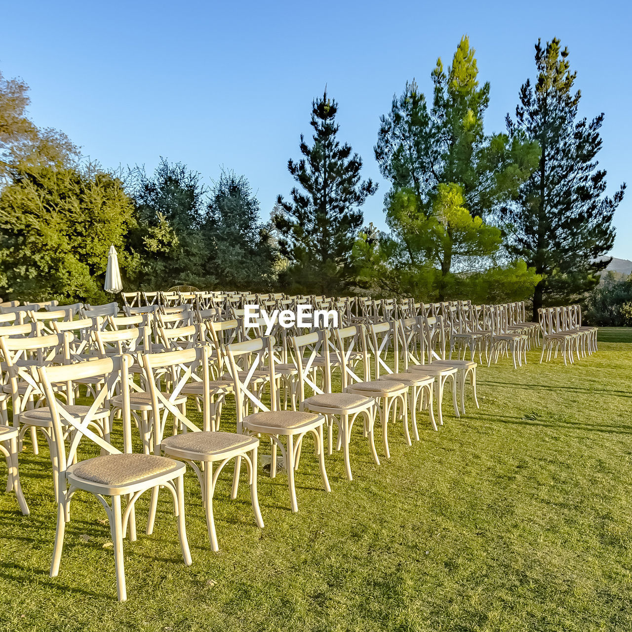 EMPTY CHAIRS ON FIELD AGAINST TREES