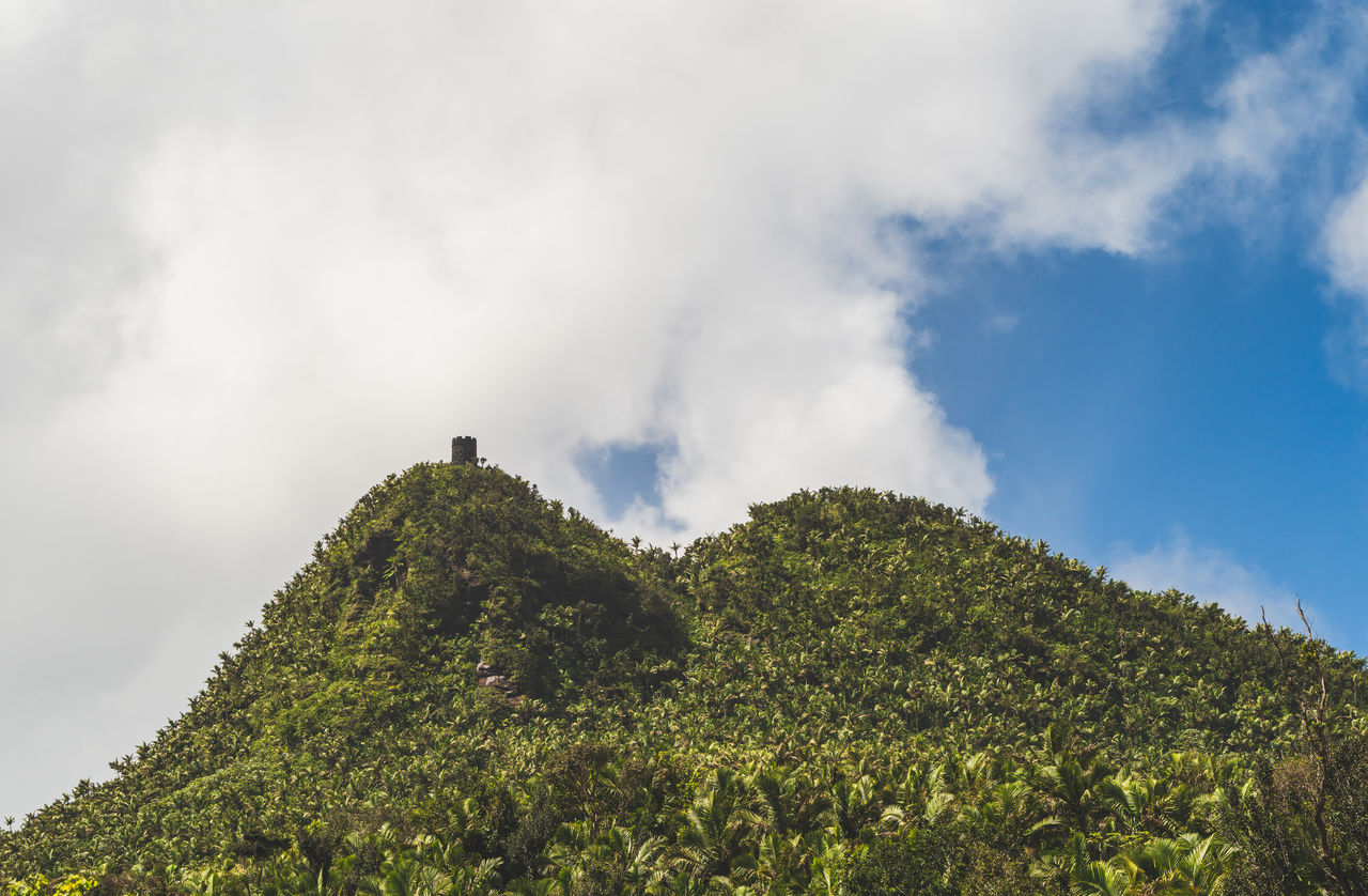 nature, sky, hill, cloud, plant, environment, tree, land, landscape, scenics - nature, beauty in nature, forest, green, travel, rural area, mountain range, outdoors, no people, travel destinations, social issues, tourism, ridge, non-urban scene, tranquility, growth, day, low angle view, leaf, fog, mountain peak, grass