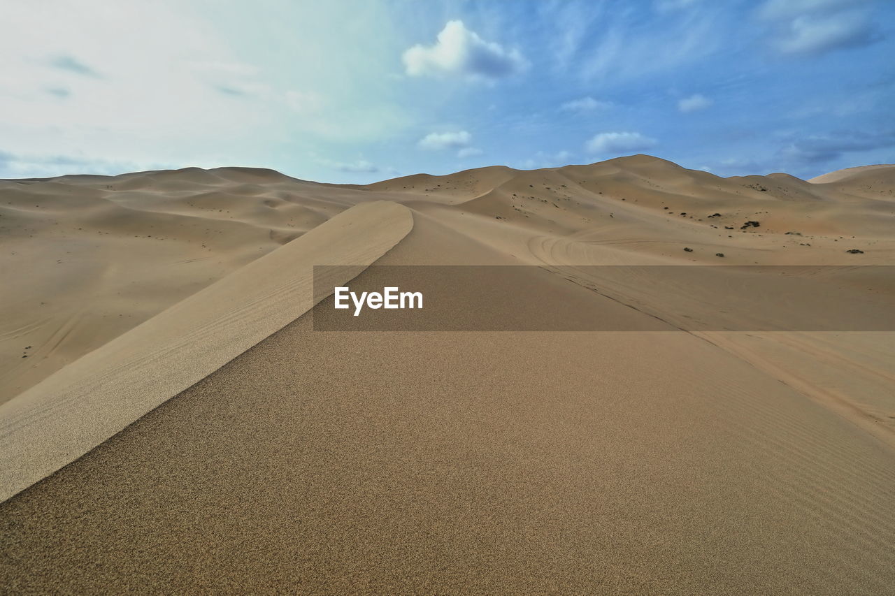 Chains of moving and stationary sand dunes of up to 500 ms.cover the badain jaran desert. china-1059