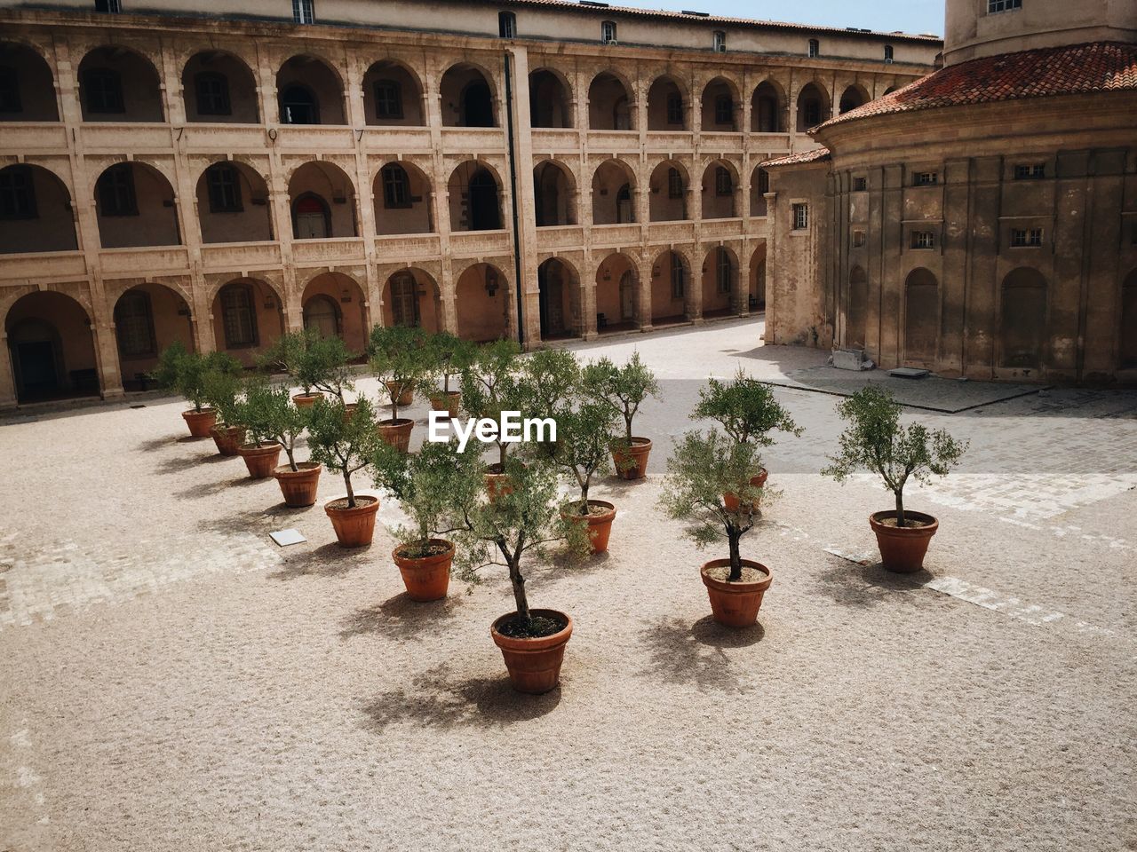 Potted plants arranged outside historic building