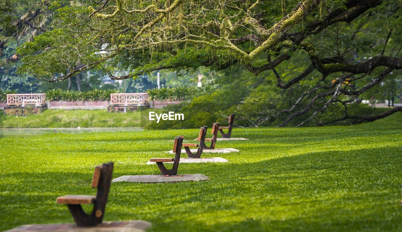 Empty Park Benches In Row On Eyeem