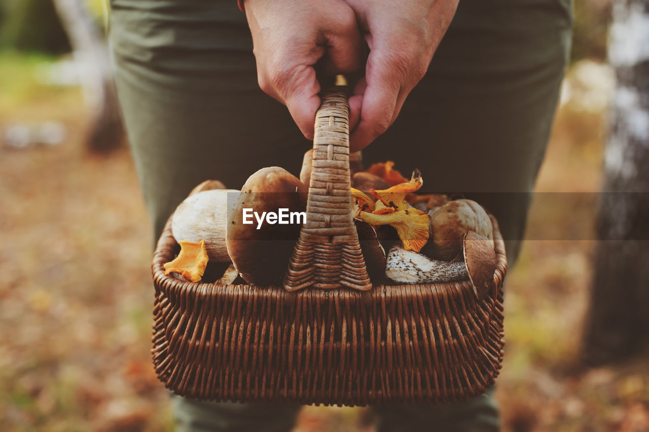 Midsection of person holding mushrooms in basket