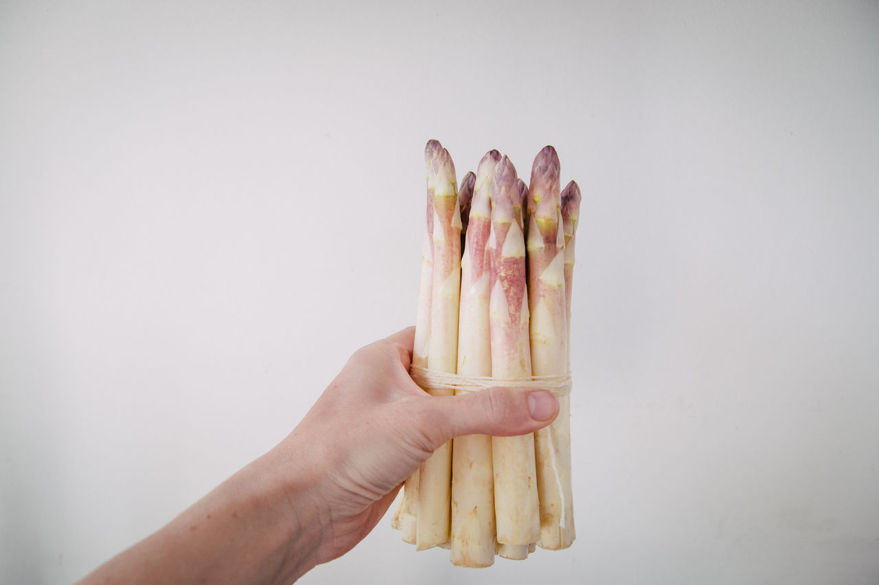 CLOSE-UP OF HAND HOLDING BREAD