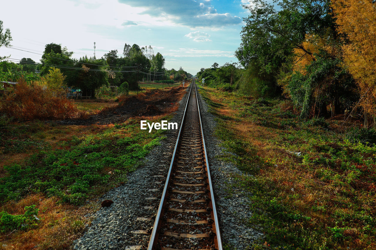 track, railroad track, rail transportation, plant, transportation, the way forward, tree, transport, nature, sky, vanishing point, railway, diminishing perspective, autumn, no people, leaf, rural area, cloud, mode of transportation, land, day, public transportation, outdoors, parallel, vehicle, landscape, travel, forest, growth, green, environment, non-urban scene, beauty in nature, straight, grass, tranquility