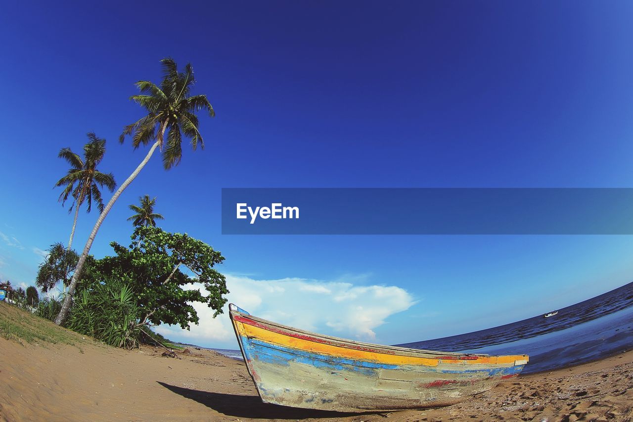 LOW ANGLE VIEW OF COCONUT PALM TREES ON BEACH AGAINST SKY