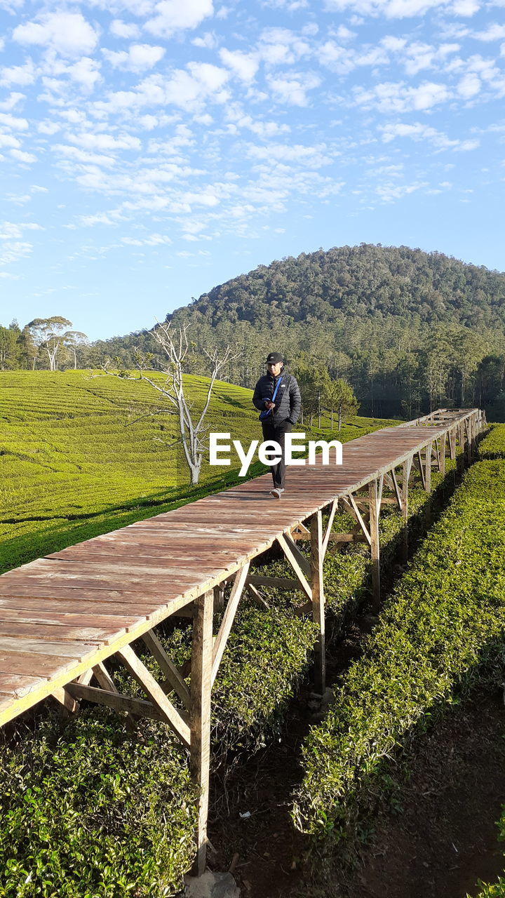 nature, plant, green, day, one person, tree, sports, men, leisure activity, outdoors, sunlight, land, water, full length, high angle view, sky, rope, lifestyles, extreme sports, beauty in nature, leaf, growth, adventure, flower, architecture, adult, built structure, scenics - nature
