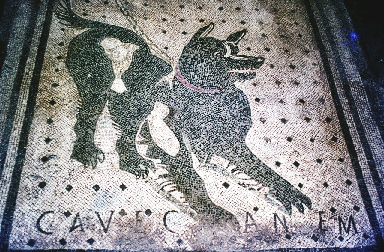 Cave Canem Beware Of The Dog Roman Doormat Mosaic On Eyeem