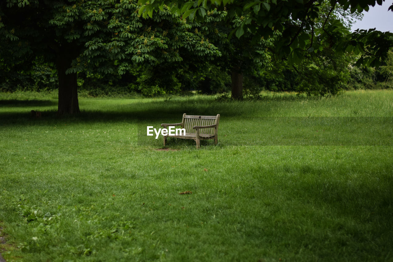 EMPTY CHAIRS ON GRASSY FIELD