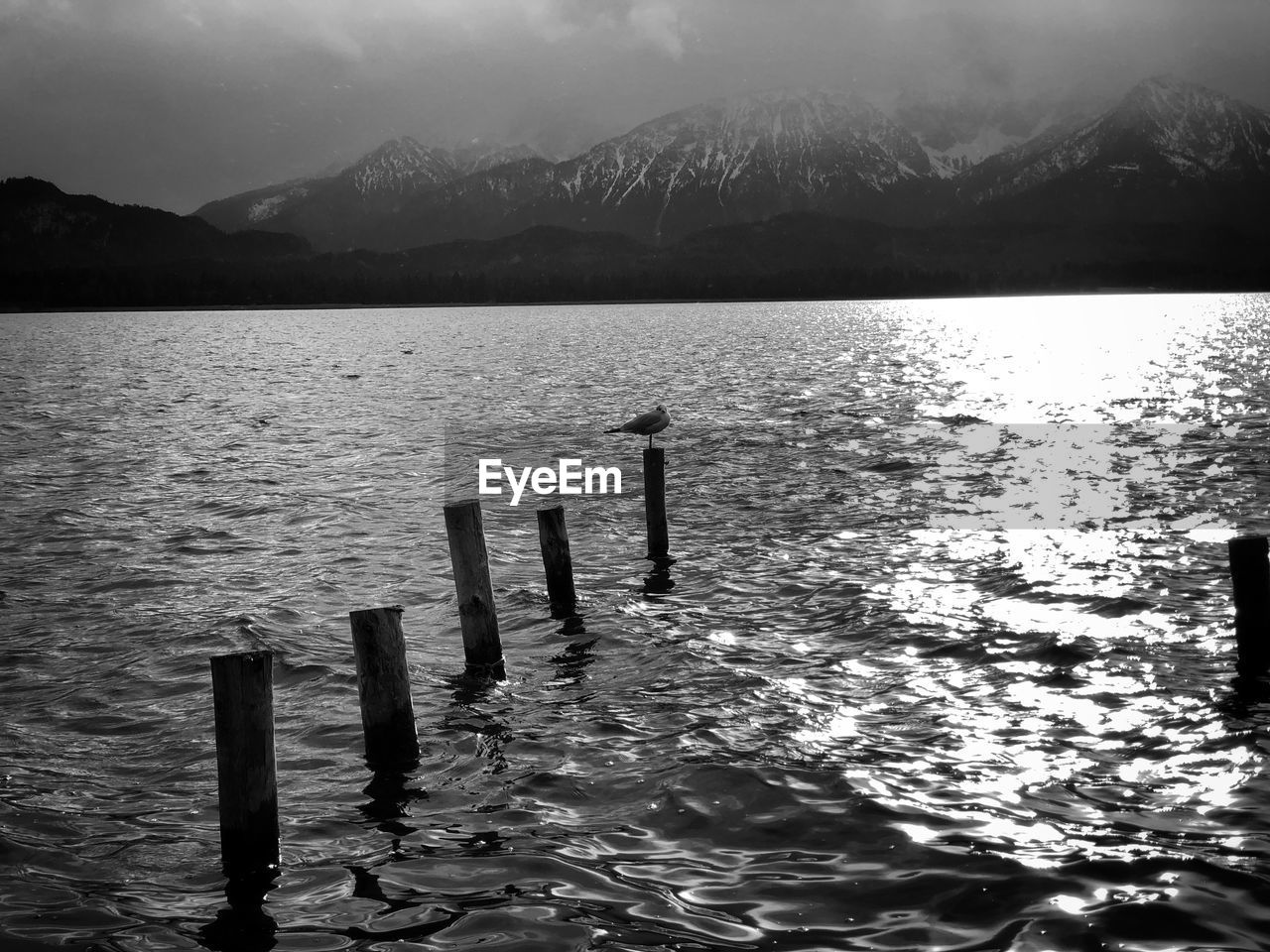 WOODEN POST IN LAKE AGAINST MOUNTAINS