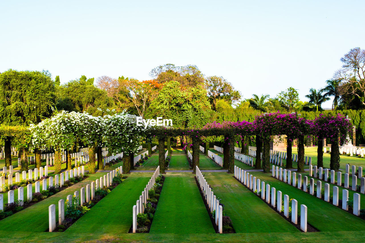 Formal garden walkway between fence