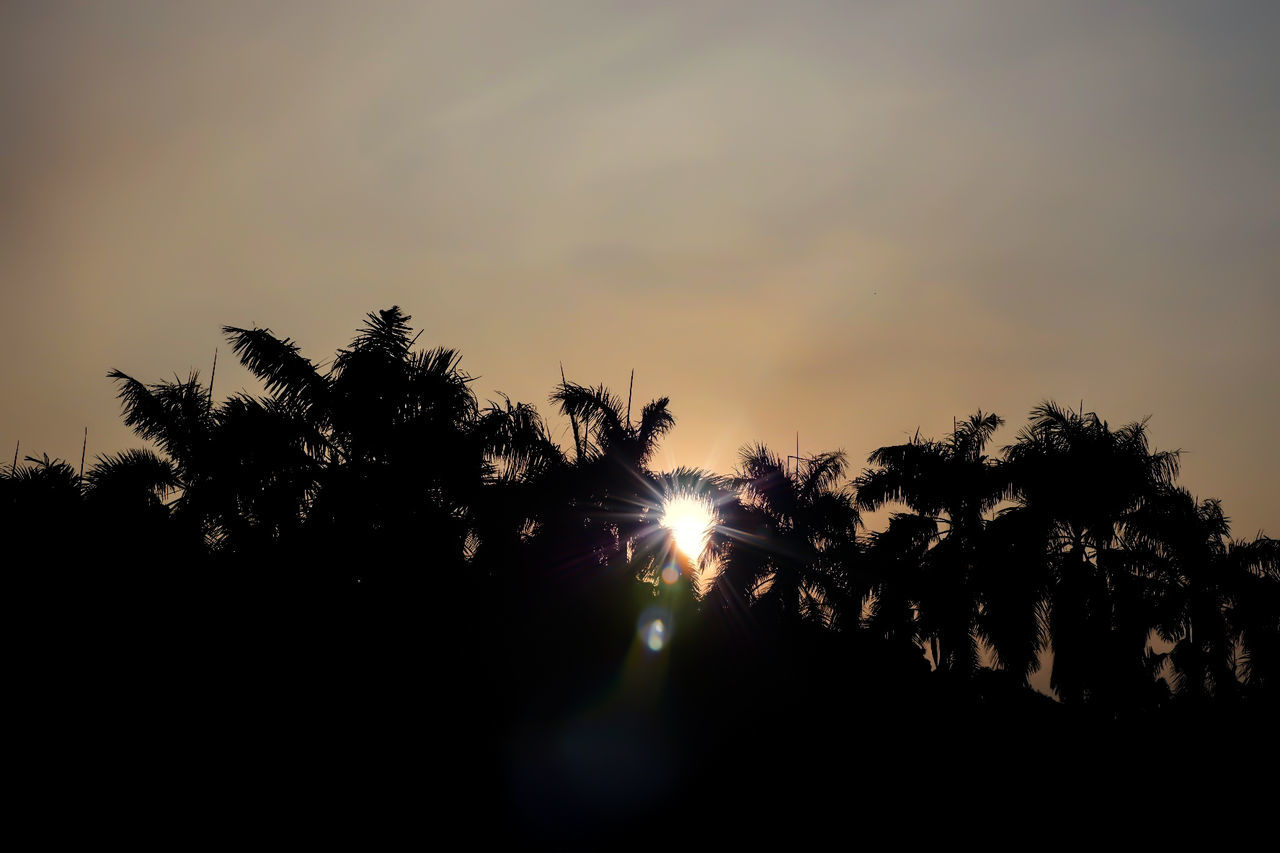 SILHOUETTE OF PALM TREES AGAINST SKY DURING SUNSET