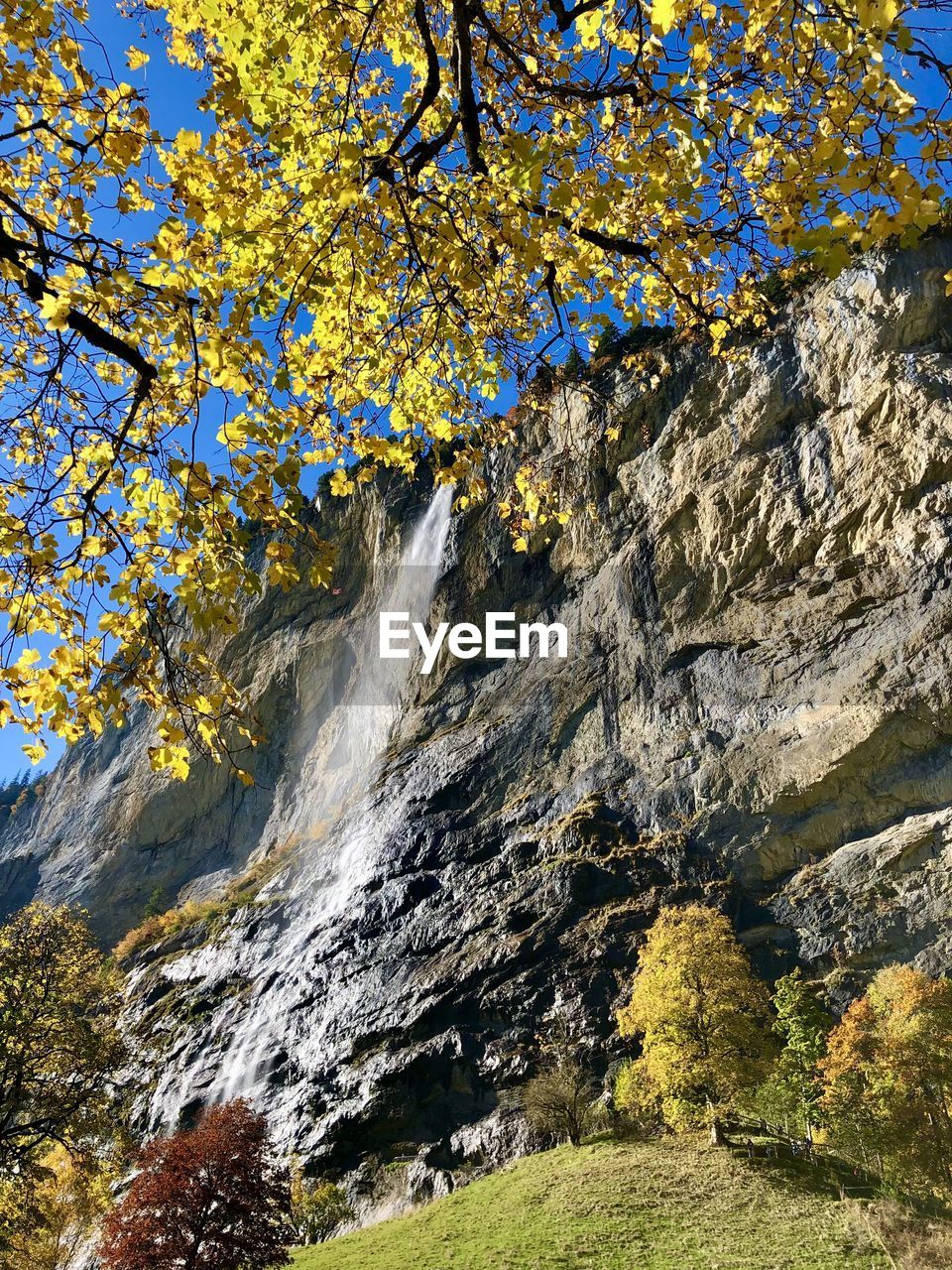 SCENIC VIEW OF WATERFALL ON ROCK