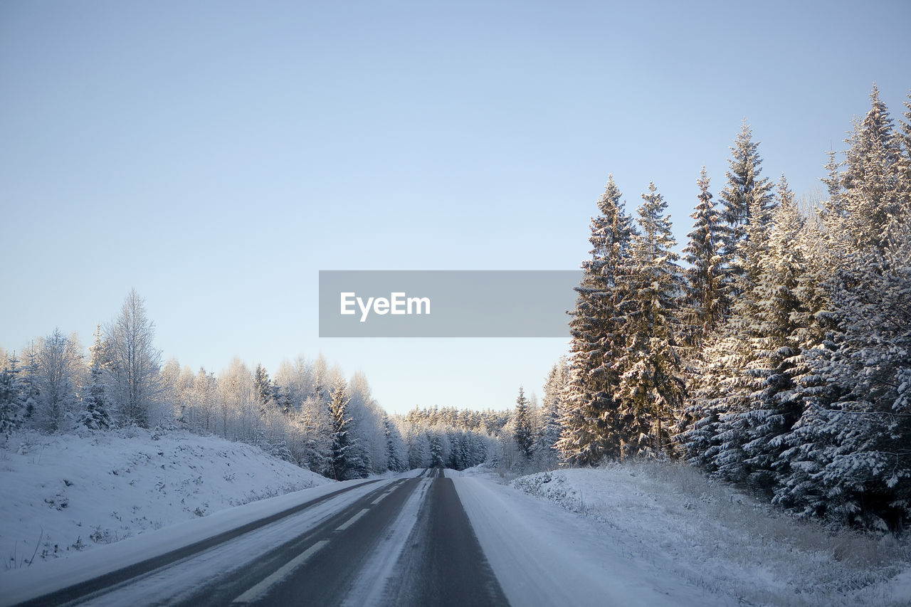 Snow covered road amidst trees against sky