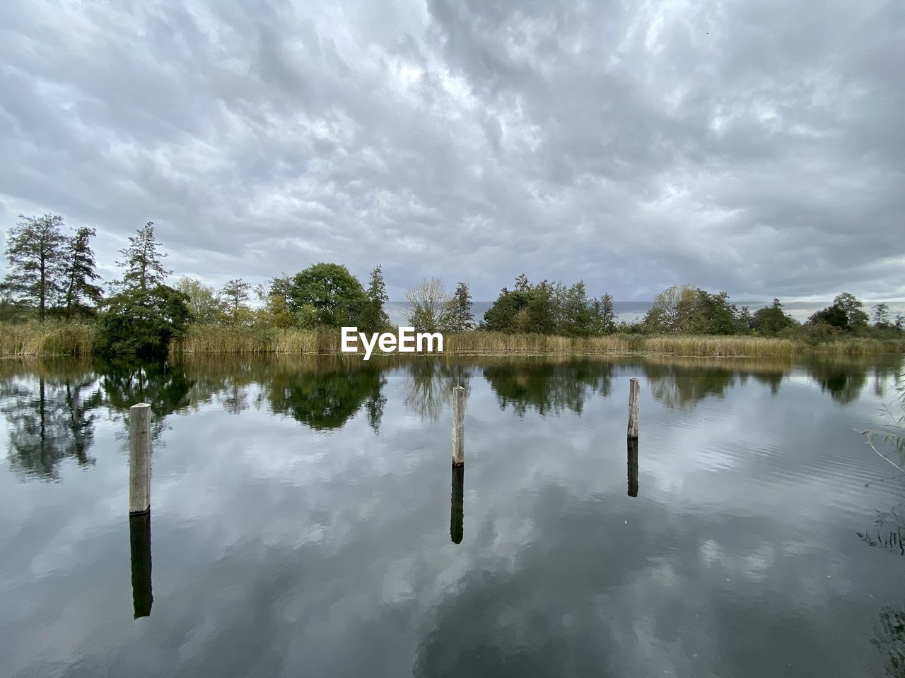 REFLECTION OF TREES IN LAKE