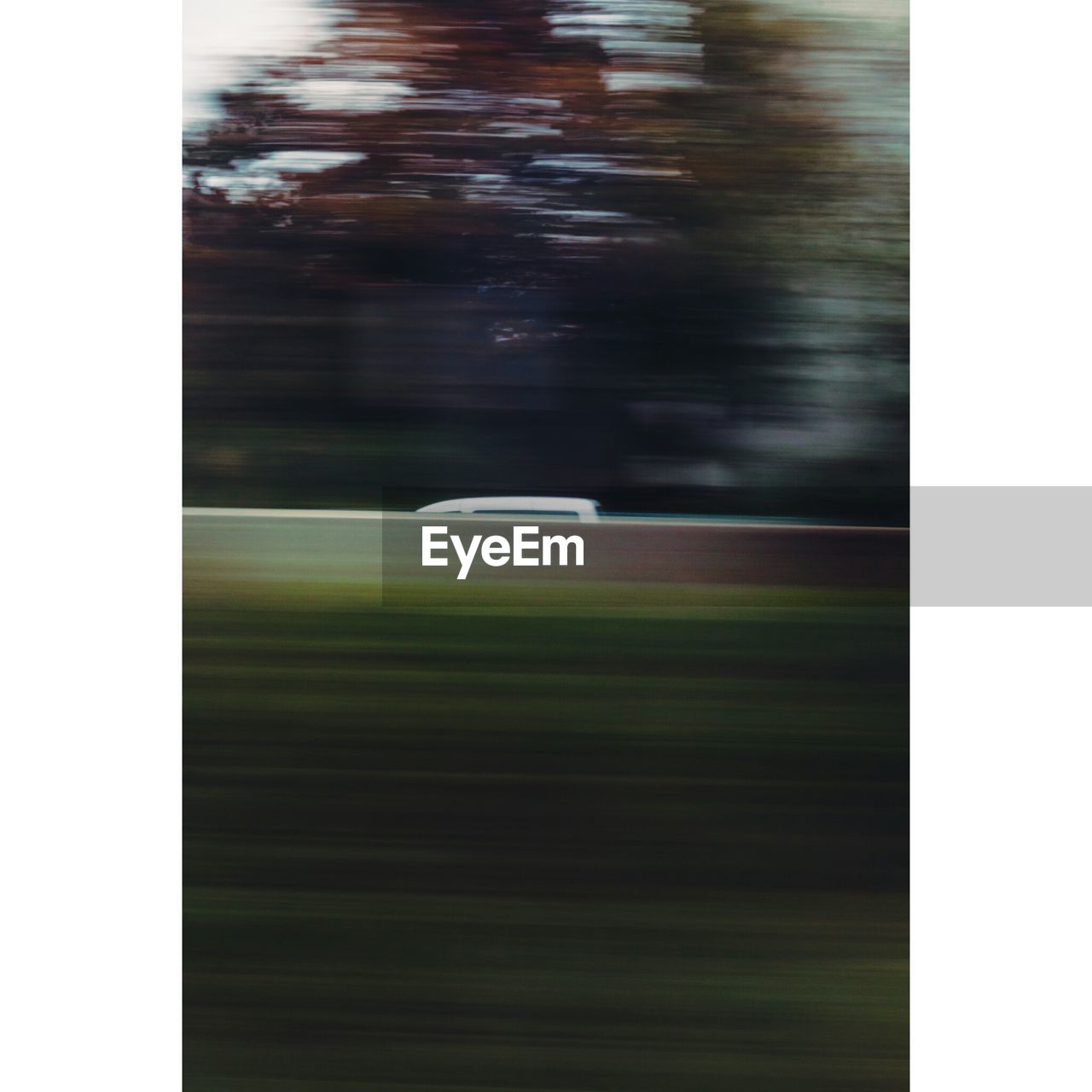 BLURRED MOTION OF TREES AND GRASS