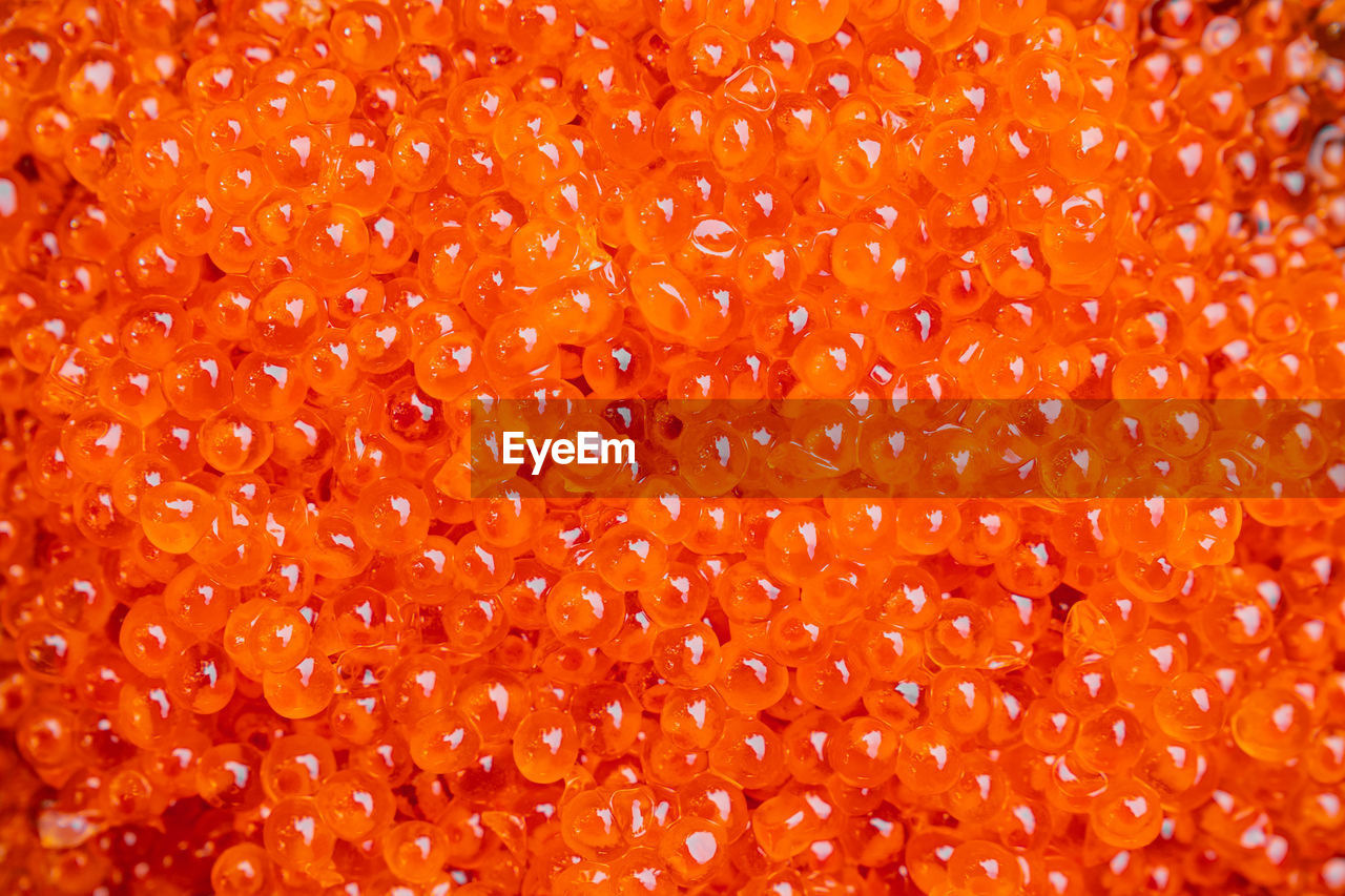 Full frame shot of orange caviar