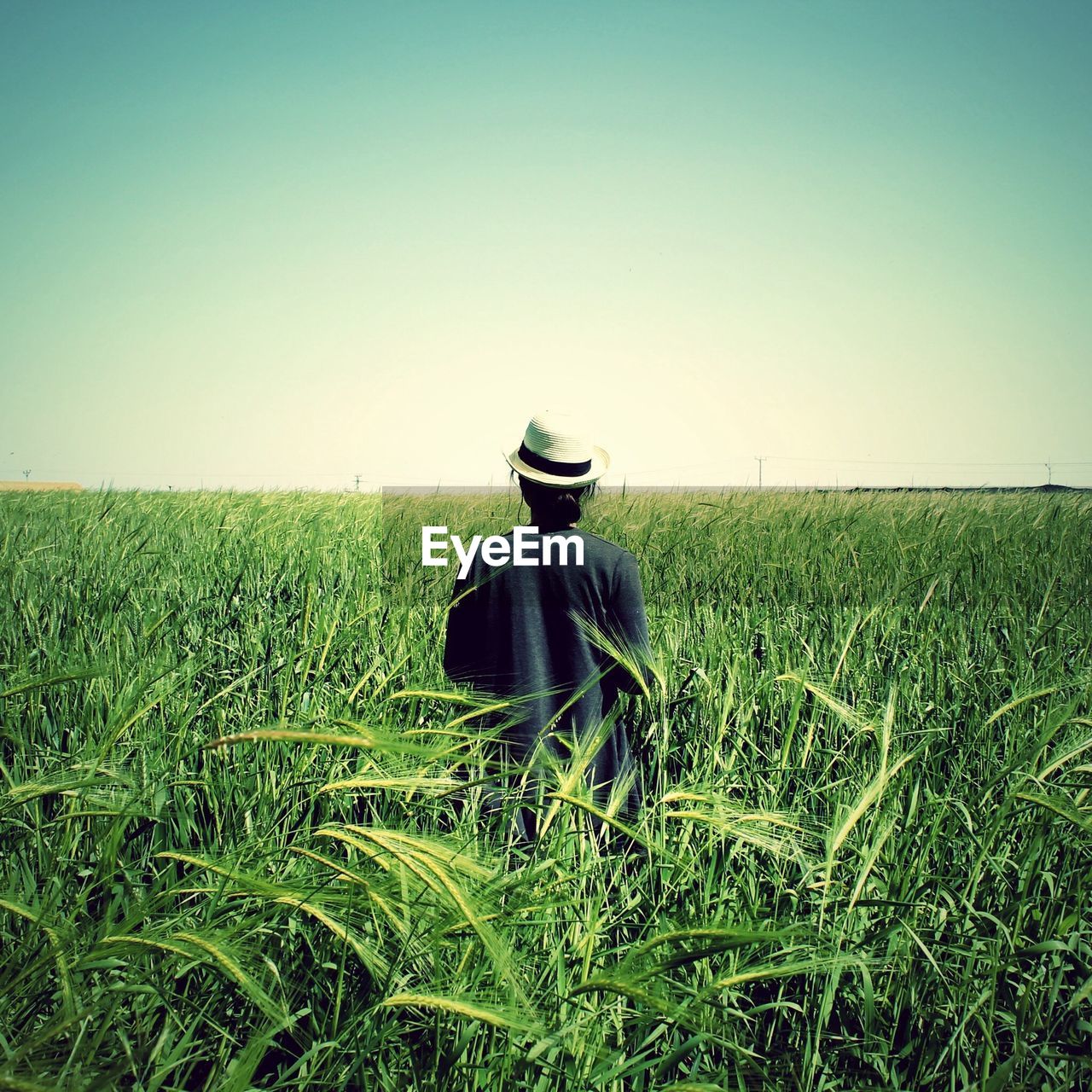 Rear view of a man standing in field against clear sky