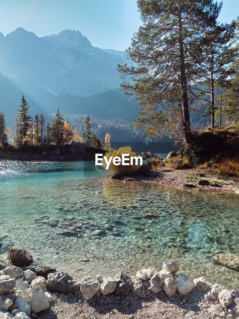 Green Color Lake View Forest Austria Forest On Eyeem