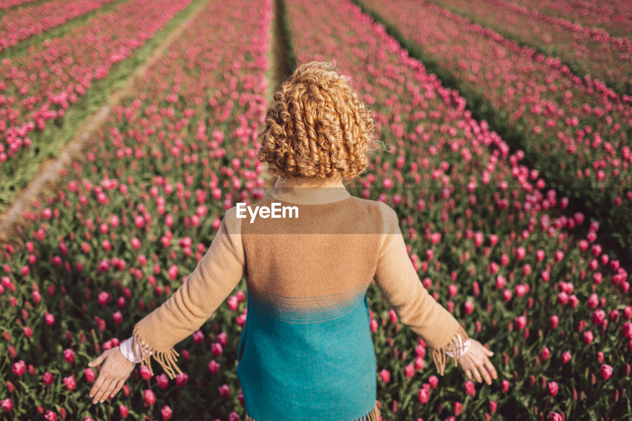 Rear view of woman standing on tulip field