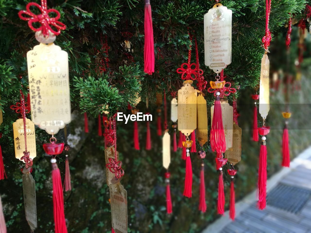 Close-up of prayer blocks hanging on tree in temple