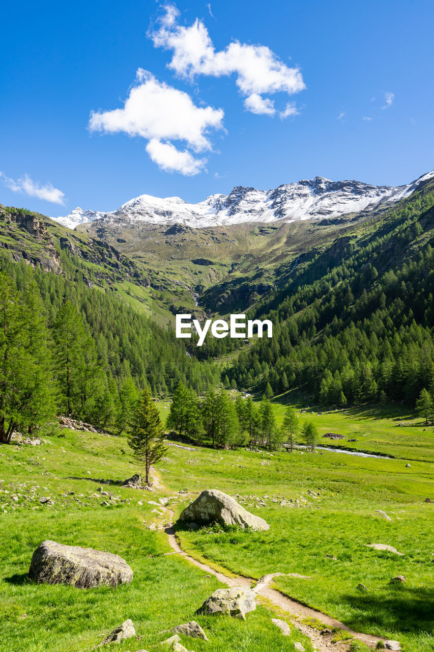 PANORAMIC VIEW OF LANDSCAPE AGAINST SKY