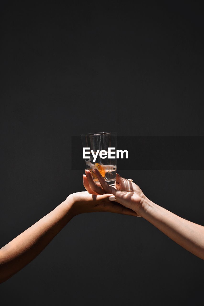 Cropped image of hands holding fishes in glass against black background
