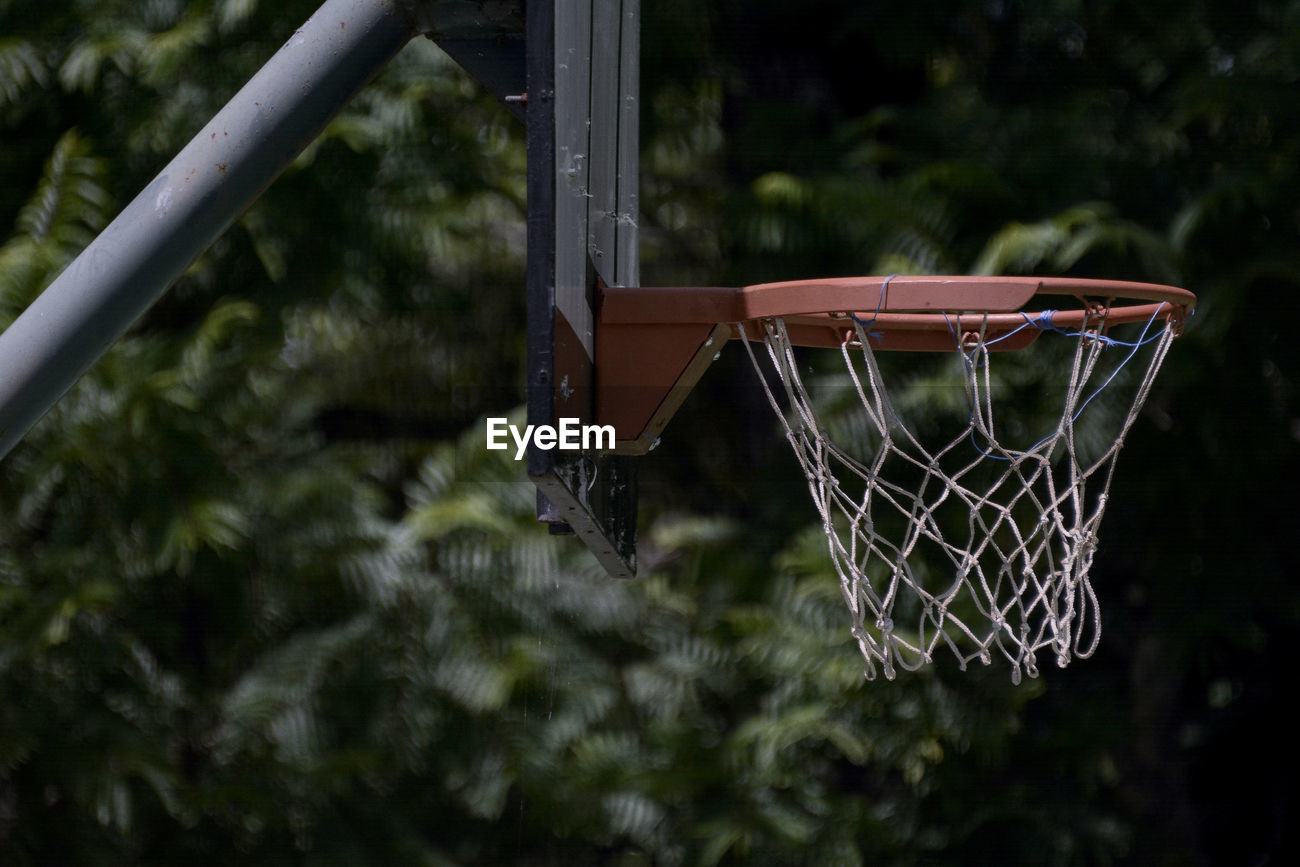 Close Up Of Basketball Hoop Against Trees Id 78304612