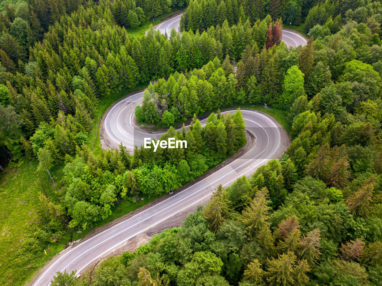 plant, tree, green, road, forest, transportation, land, high angle view, aerial photography, scenics - nature, growth, beauty in nature, landscape, environment, nature, no people, aerial view, curve, tranquility, non-urban scene, outdoors, foliage, travel, day, lush foliage, highway, tranquil scene, infrastructure, woodland, mountain pass, mode of transportation, architecture, winding road, mountain, motor vehicle, rural scene, social issues, idyllic