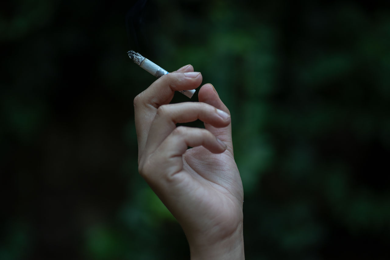 Close-up of hand holding cigarette against trees