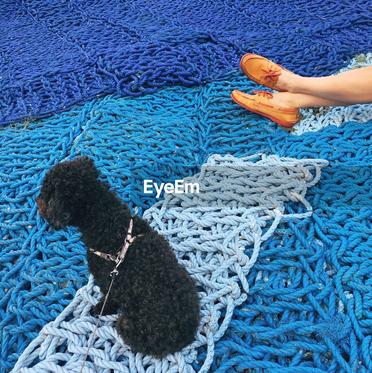 High angle view of woman and dog on fishing net