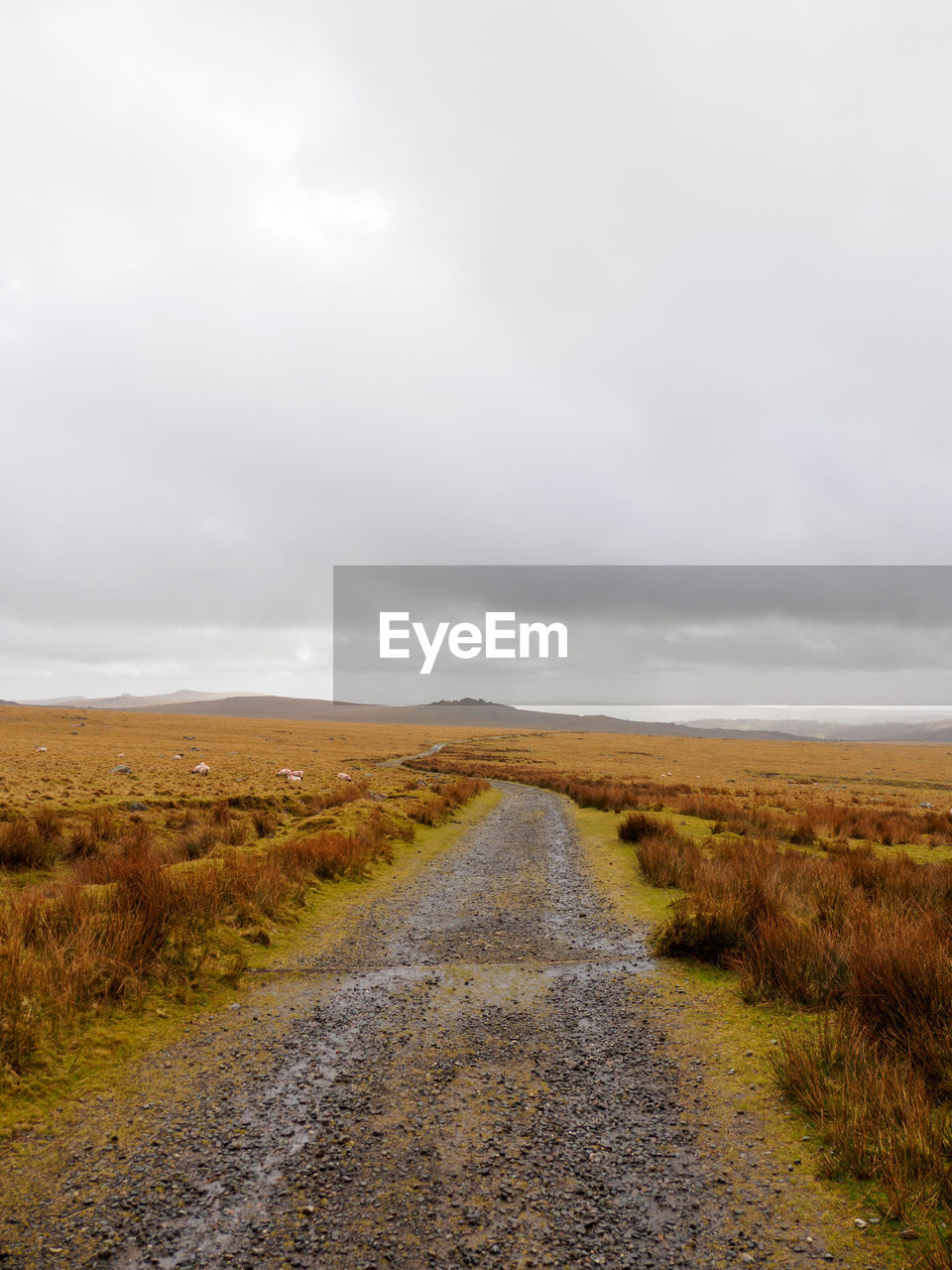 Stratocumulus clouds light a part of the grassy moors of dartmoor. devon, united kingdom.