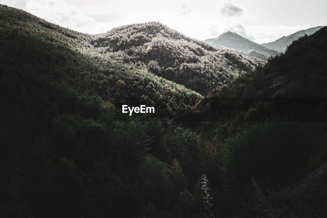 SCENIC VIEW OF MOUNTAINS